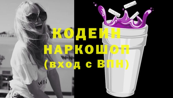 СК Заводоуковск