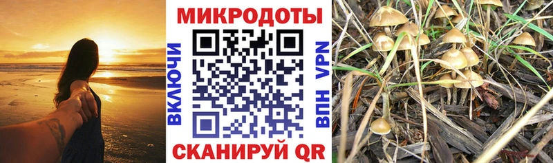 Галлюциногенные грибы Cubensis  наркошоп  Первоуральск 